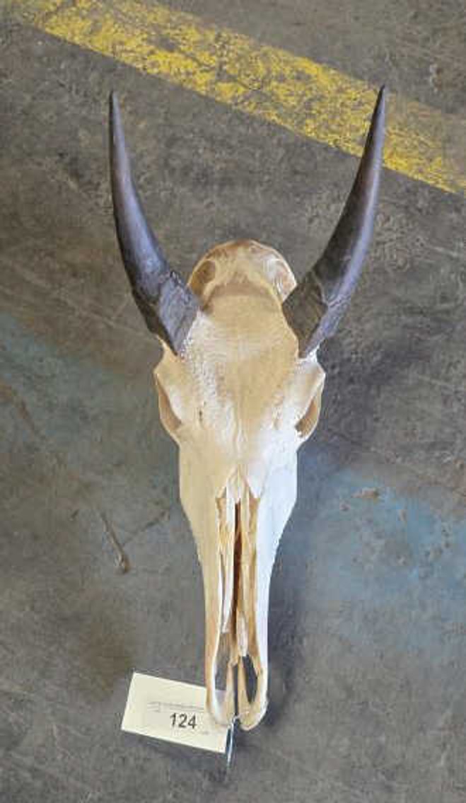 Image for September 2024 Online Only Auction