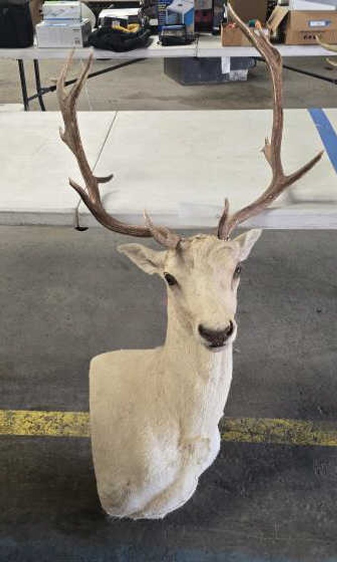 Image for September 2024 Online Only Auction