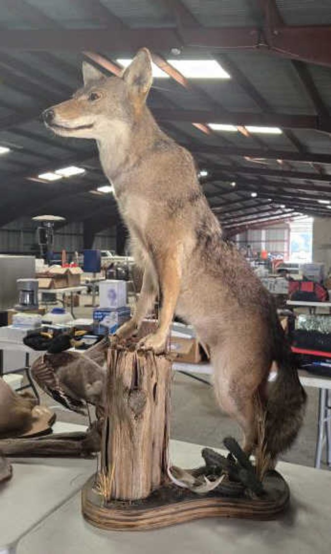 Image for September 2024 Online Only Auction