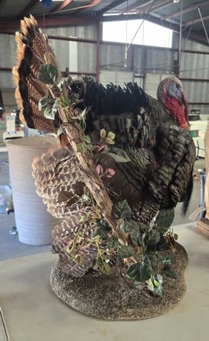 Image for September 2024 Online Only Auction