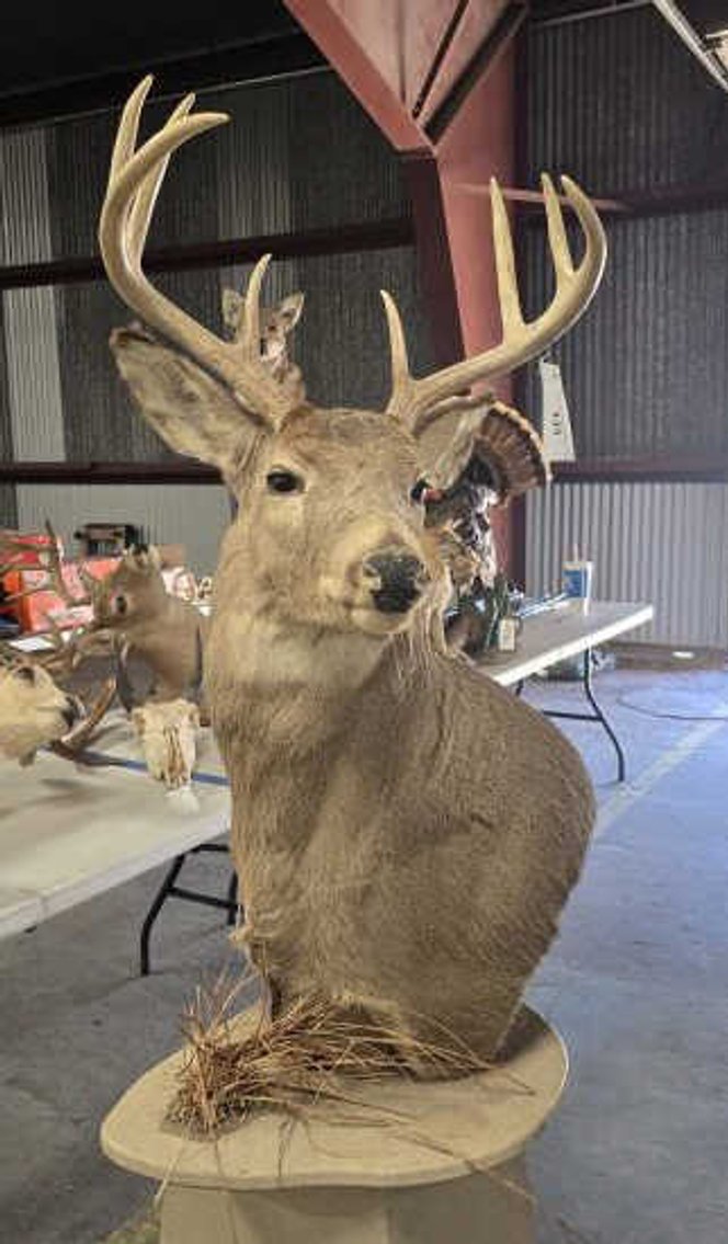 Image for September 2024 Online Only Auction