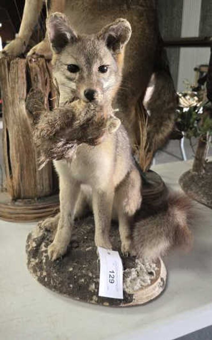 Image for September 2024 Online Only Auction