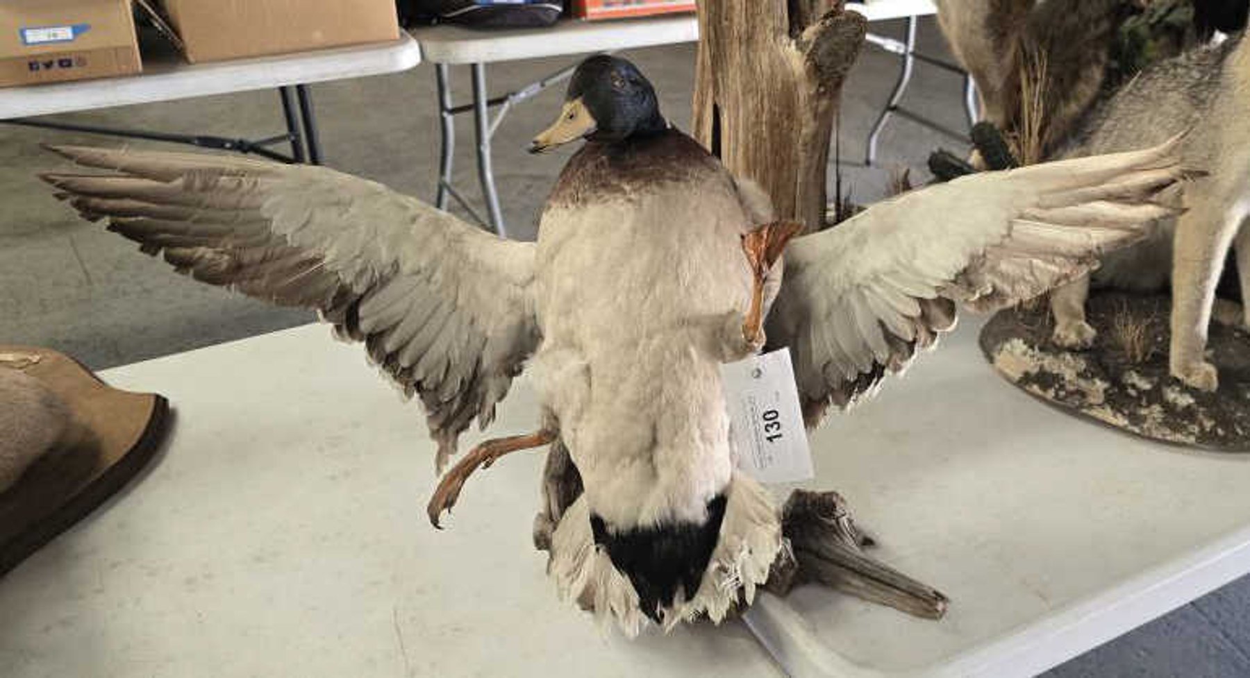 Image for September 2024 Online Only Auction