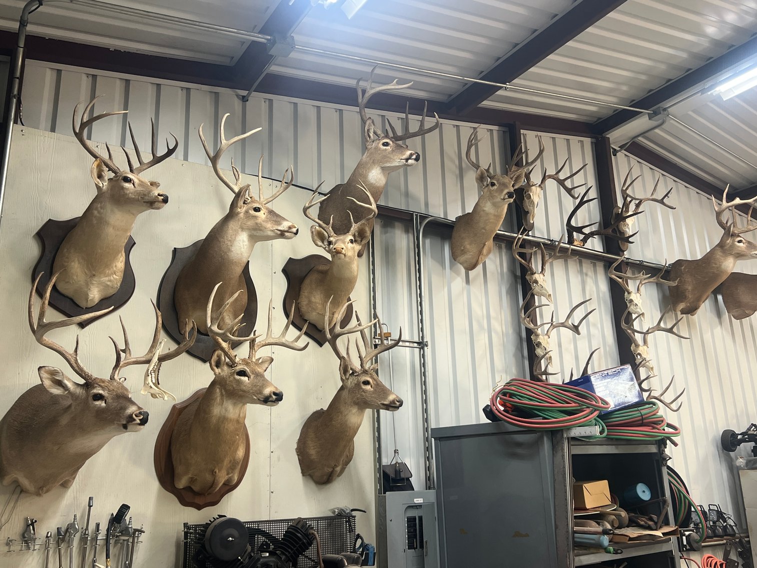 Image for Absolute Ranch Liquidation Auction – Nolanville, TX