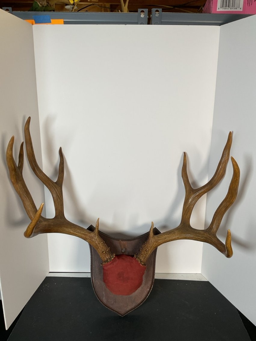 Image for Collectors’ Showcase Auction