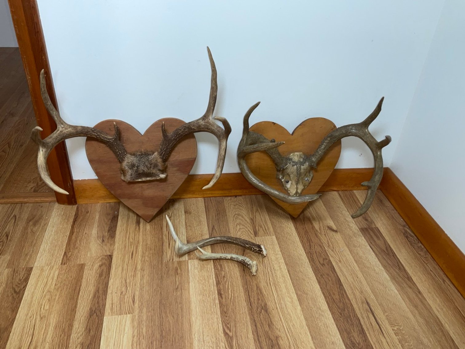 Image for Treasures in Peterstown