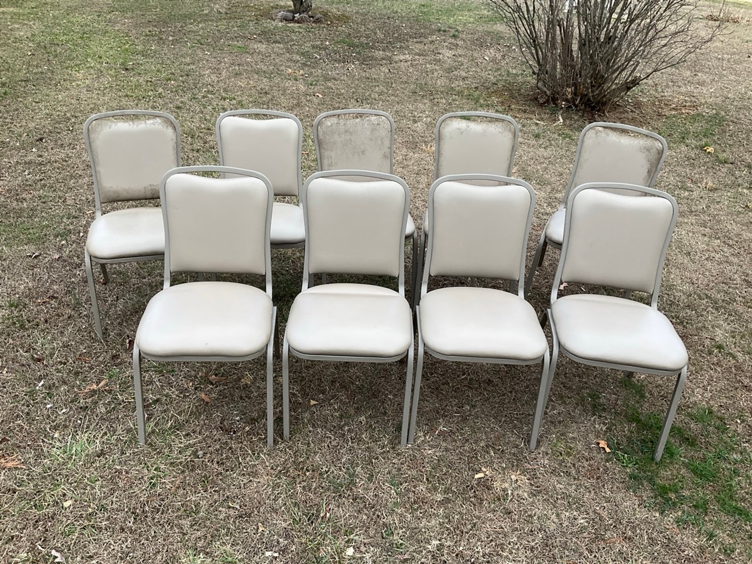 Image for Treasures in Peterstown