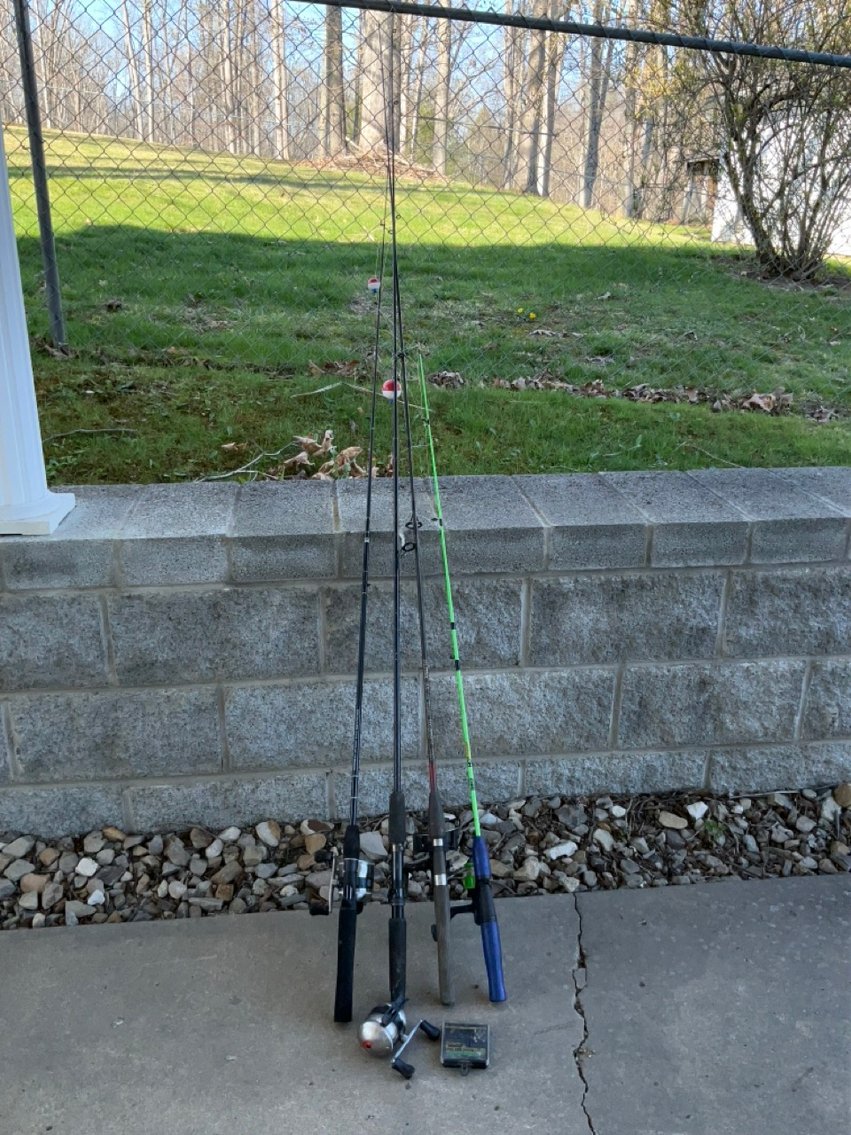 Image for Timeless Treasures from Beaver & Beckley, WV