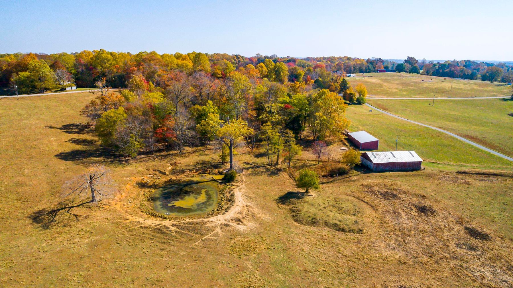 Image for Absolute Land & Home & Farm Equipment Auction-Land Offered in 10 Tracts