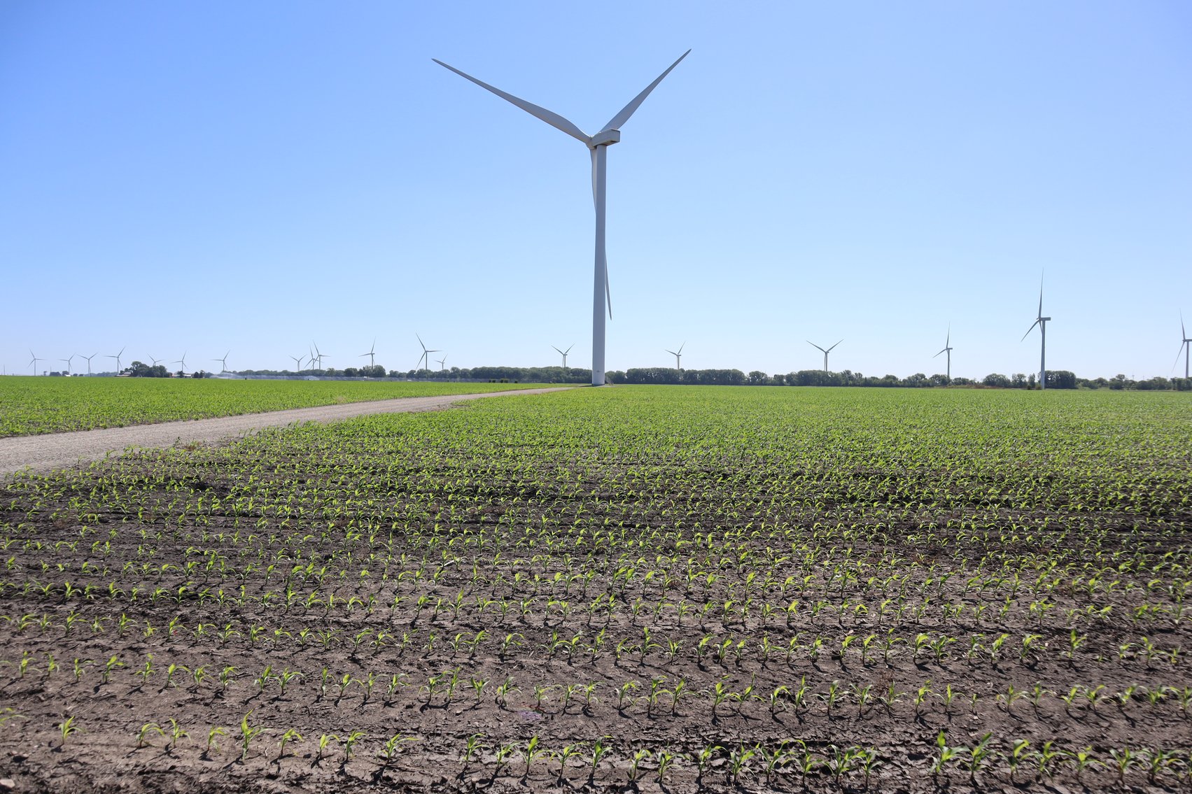 Image for Higgins Family Farm LLC