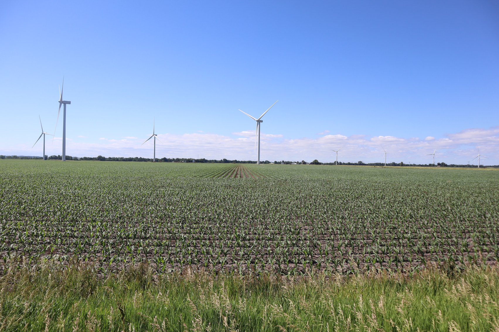 Image for Higgins Family Farm LLC