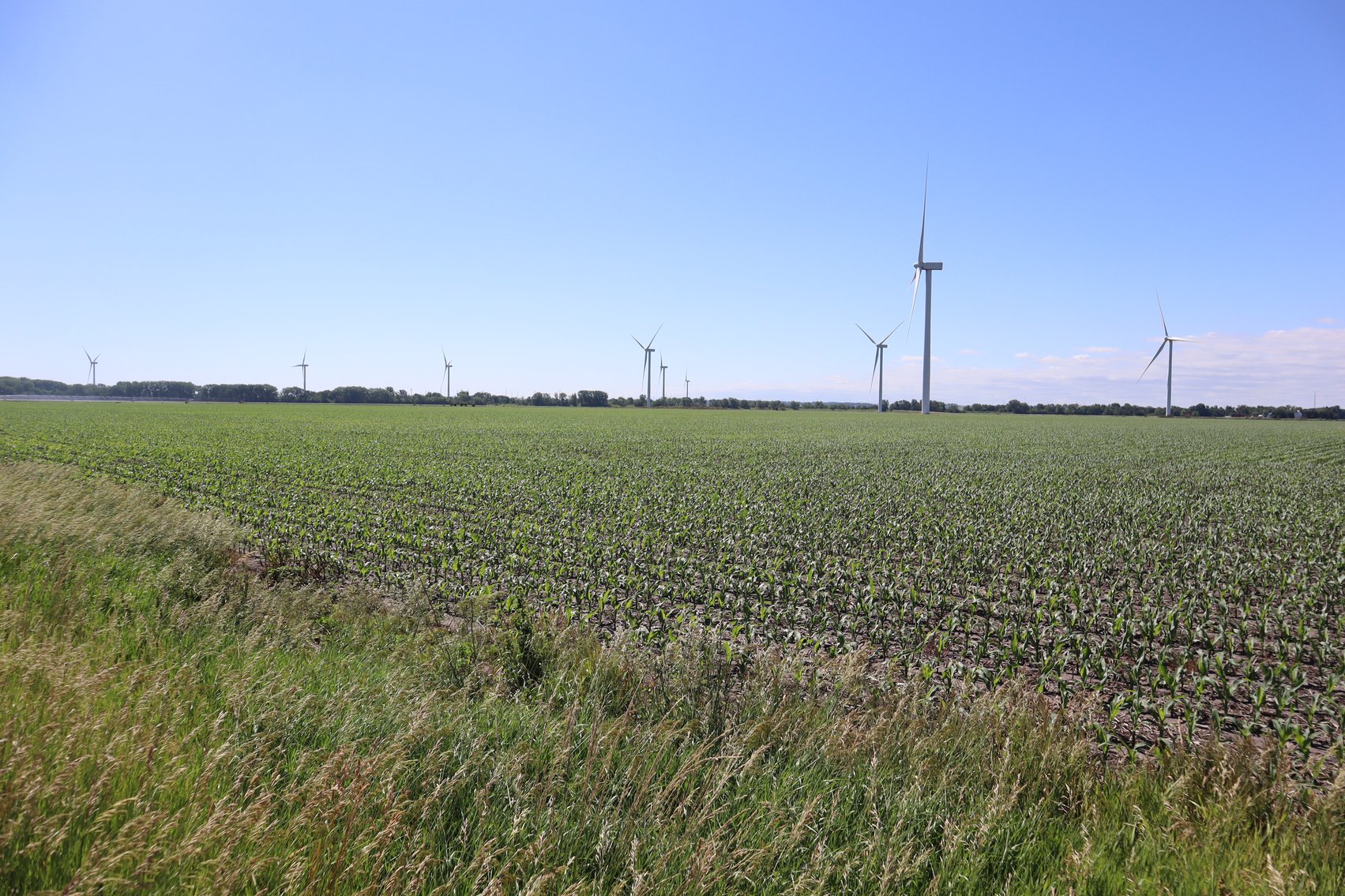 Image for Higgins Family Farm LLC