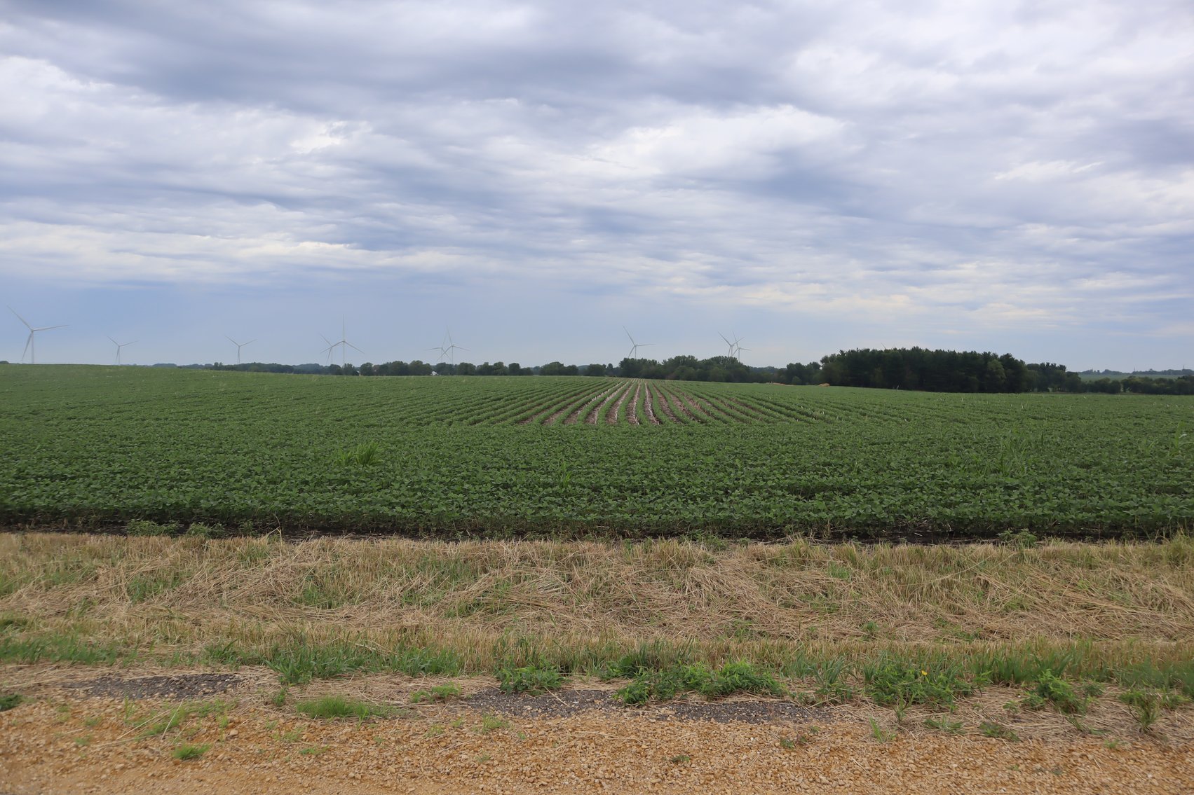 Image for Irene Larson Estate Farm