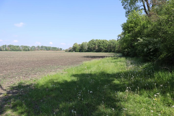 Image for Yvonne Reynolds Trust