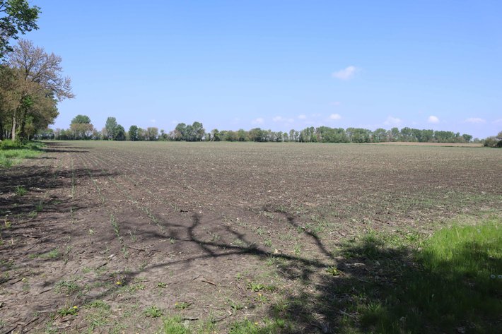 Image for Yvonne Reynolds Trust