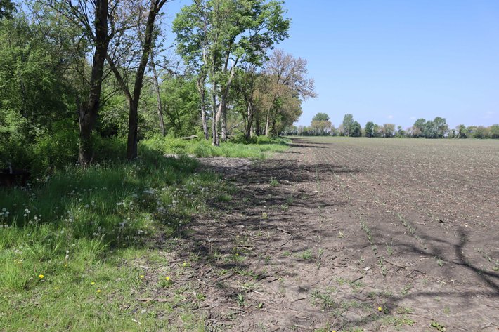 Image for Yvonne Reynolds Trust