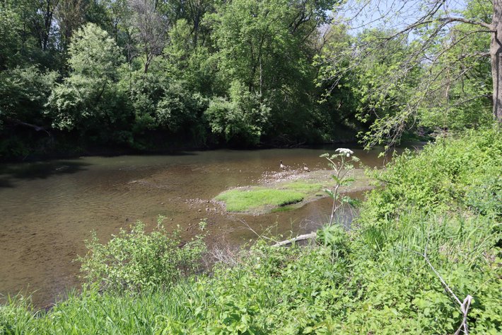 Image for Yvonne Reynolds Trust