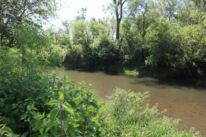 Image for Yvonne Reynolds Trust