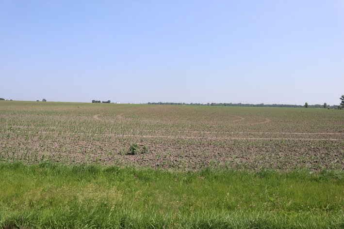 Image for Michael Maynard Farmland Auction