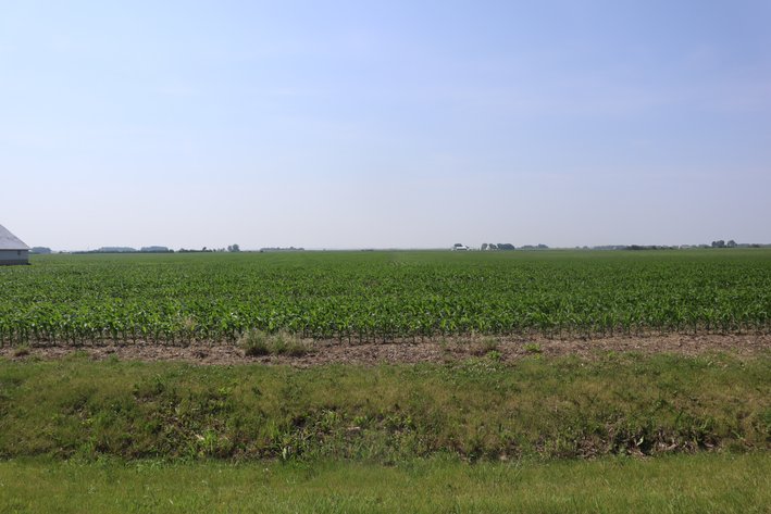 Image for Blanchflower Farmland Auction