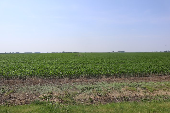 Image for Blanchflower Farmland Auction