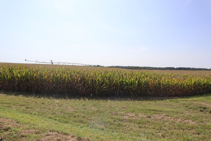 Image for Wangelin Family Farmland Auction