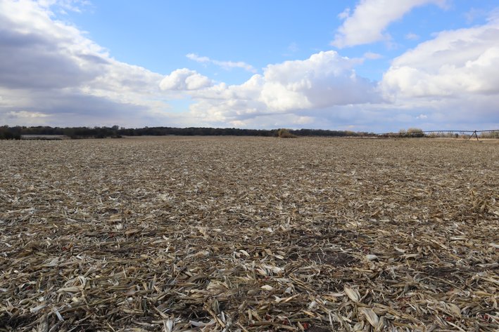 Image for Wangelin Family Farmland Auction