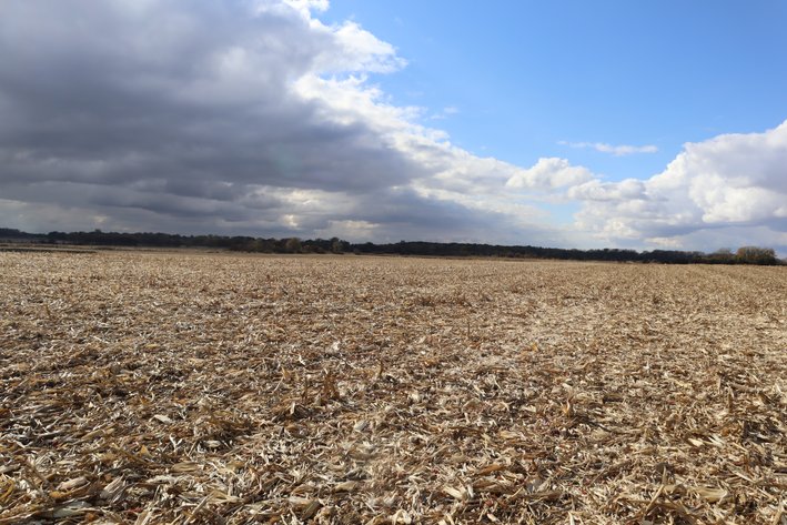 Image for Wangelin Family Farmland Auction