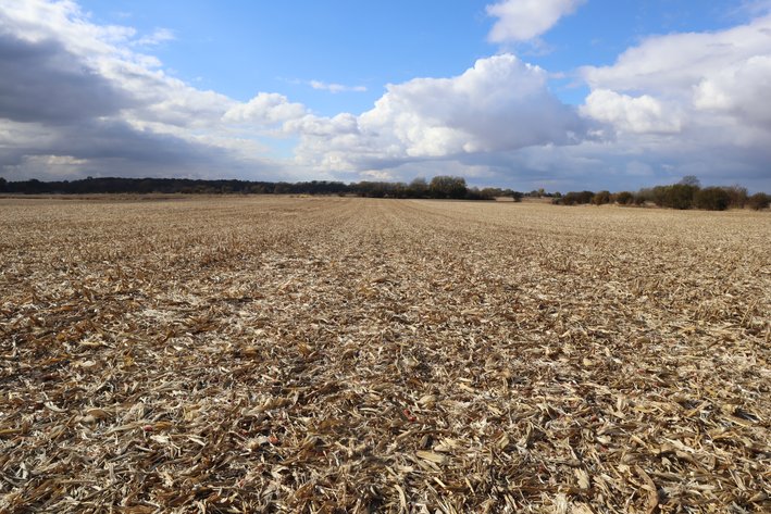 Image for Wangelin Family Farmland Auction