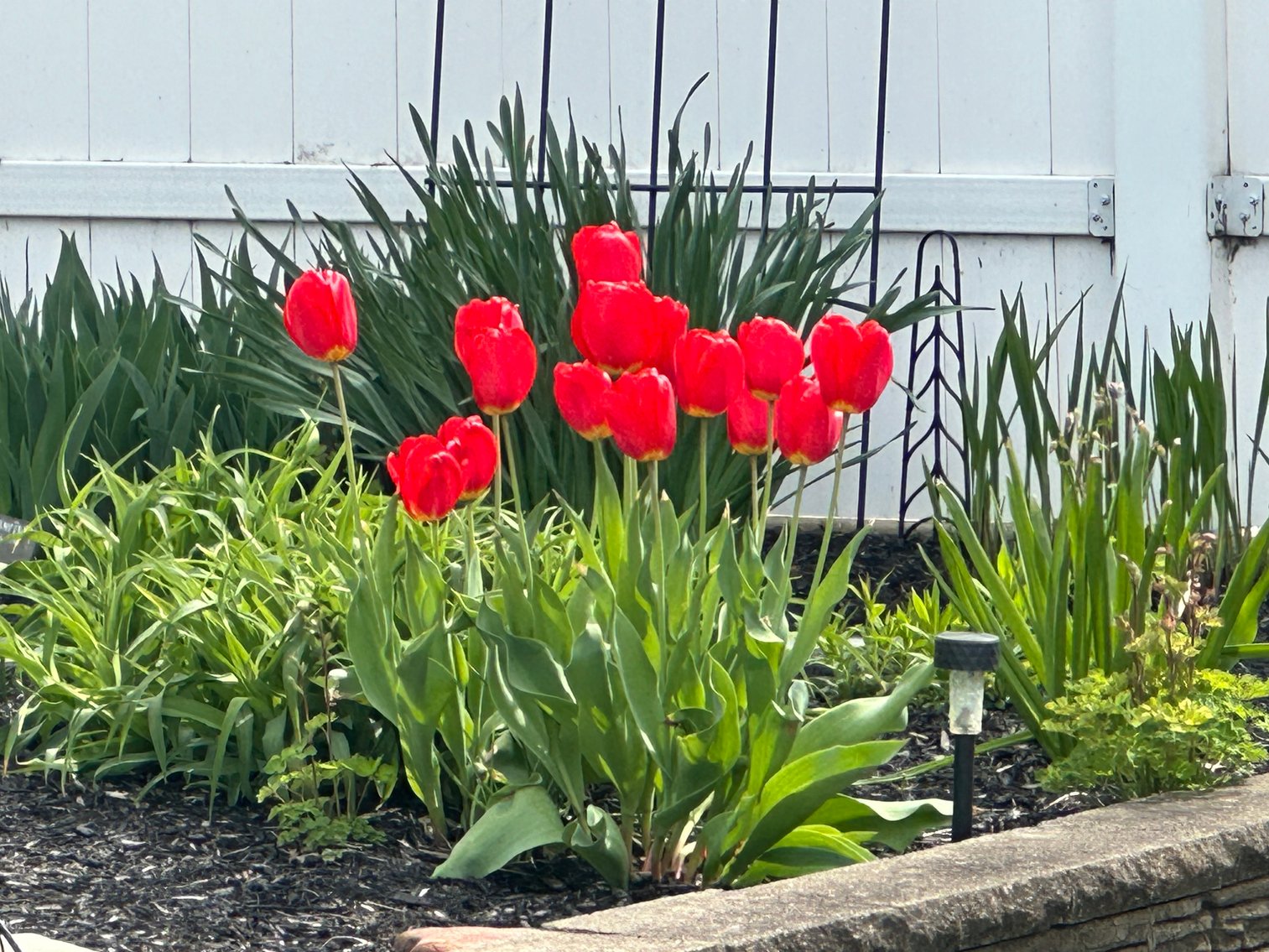 Image for MINIMUM BID AUCTION $225,000! 5930 N River Rd