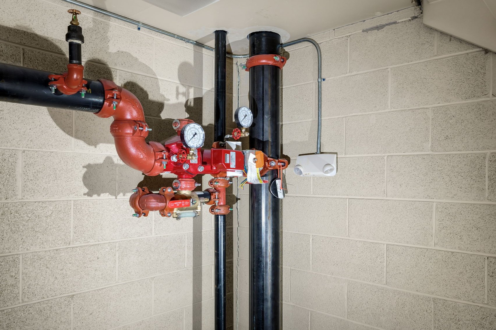 Image for MINIMUM BID AUCTION $199,000! 2051 Collingwood