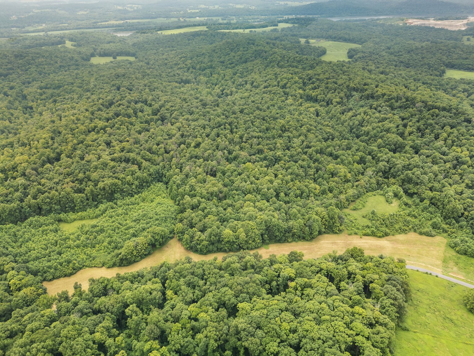 Image for 71.161 Acres Valley City Mauckport Rd SW  - ONLINE AUCTION ONLY