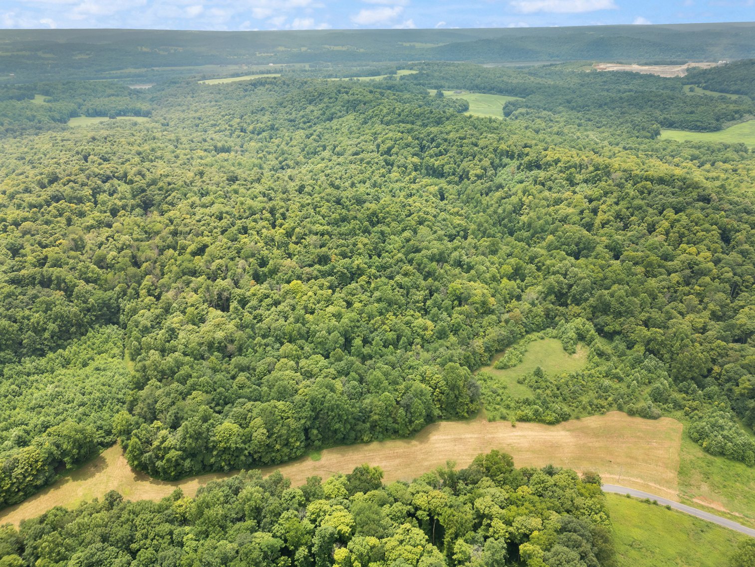 Image for 71.161 Acres Valley City Mauckport Rd SW  - ONLINE AUCTION ONLY