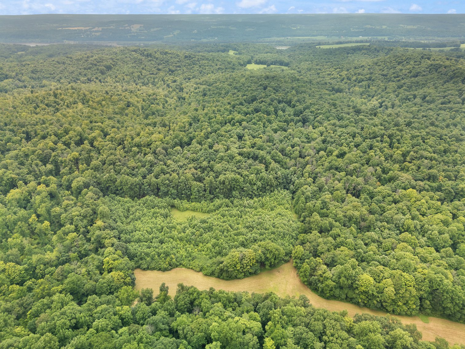 Image for 71.161 Acres Valley City Mauckport Rd SW  - ONLINE AUCTION ONLY