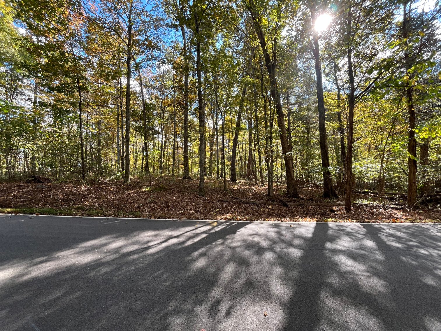 Image for Harrison County Vacant Land/ Building Lots