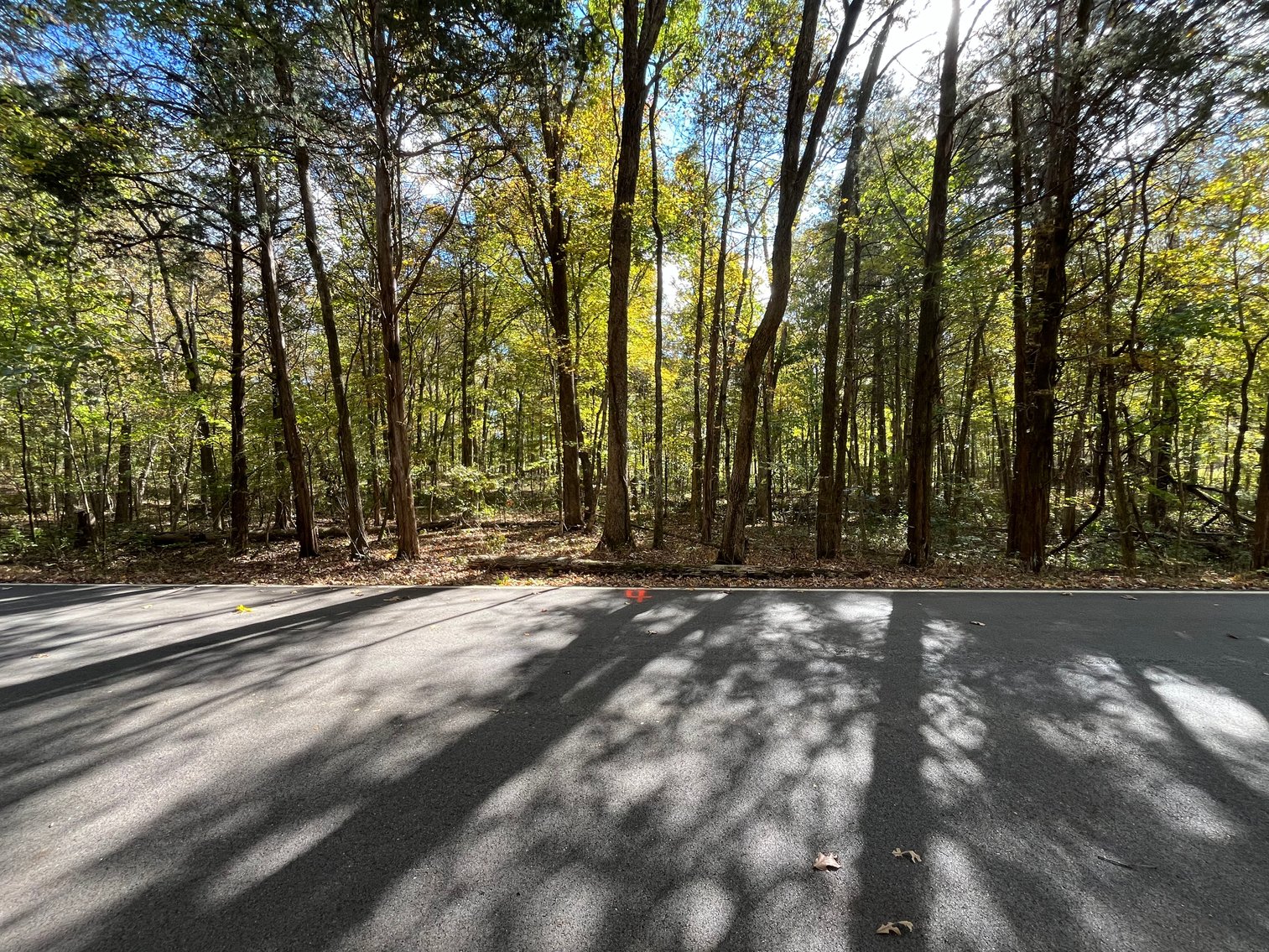 Image for Harrison County Vacant Land/ Building Lots