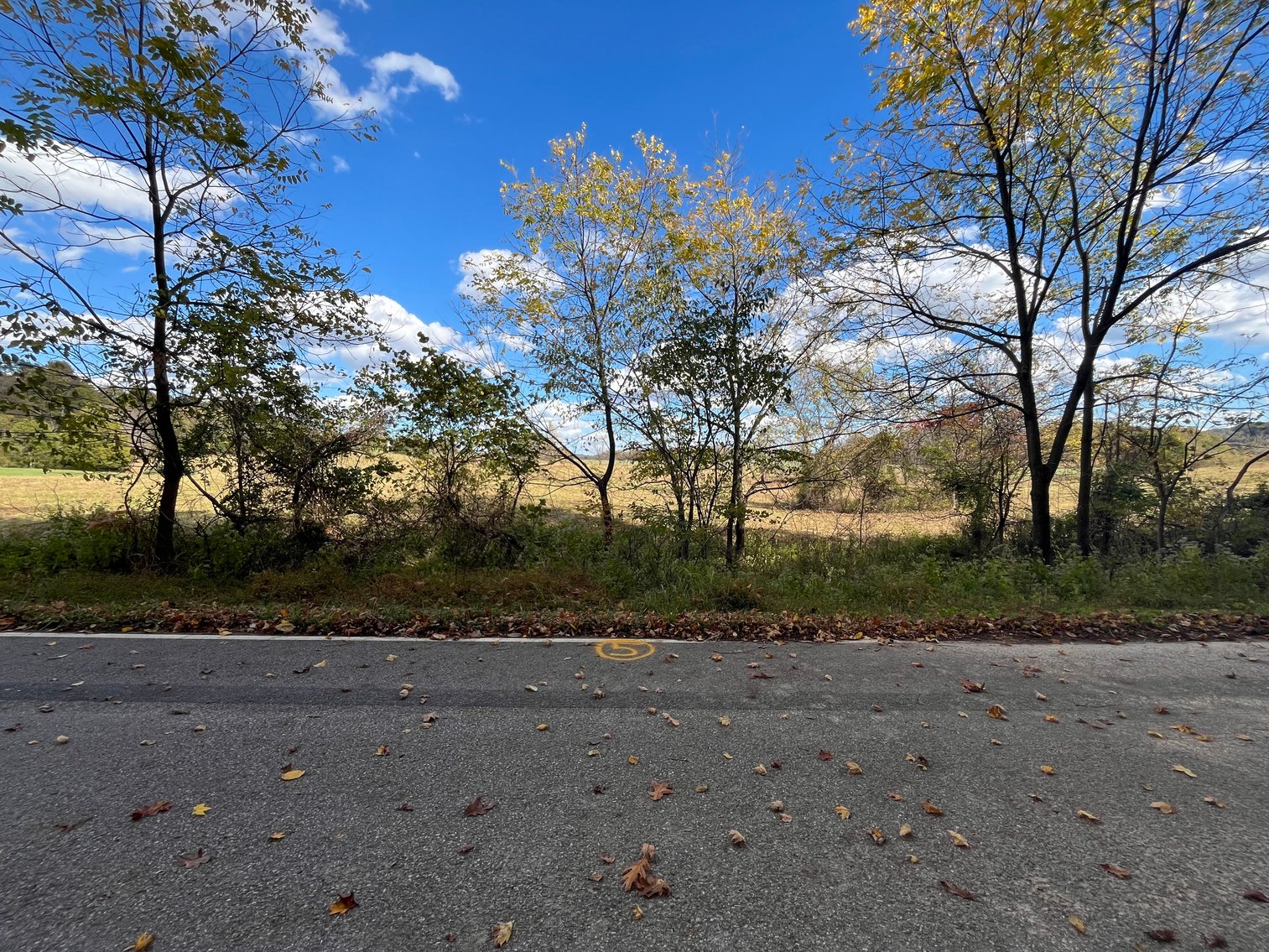 Image for Harrison County Vacant Land/ Building Lots