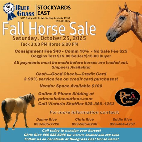 Image for Bluegrass East Fall Horse Sale