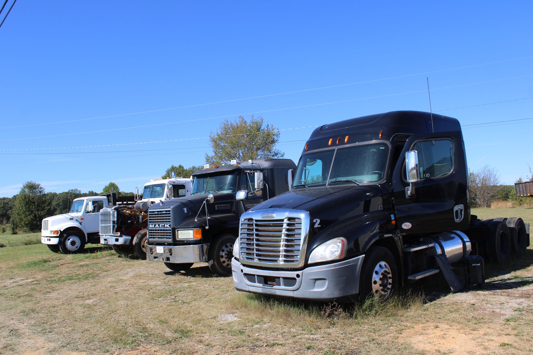 Image for William Donnie Ashley-A & C Pallet