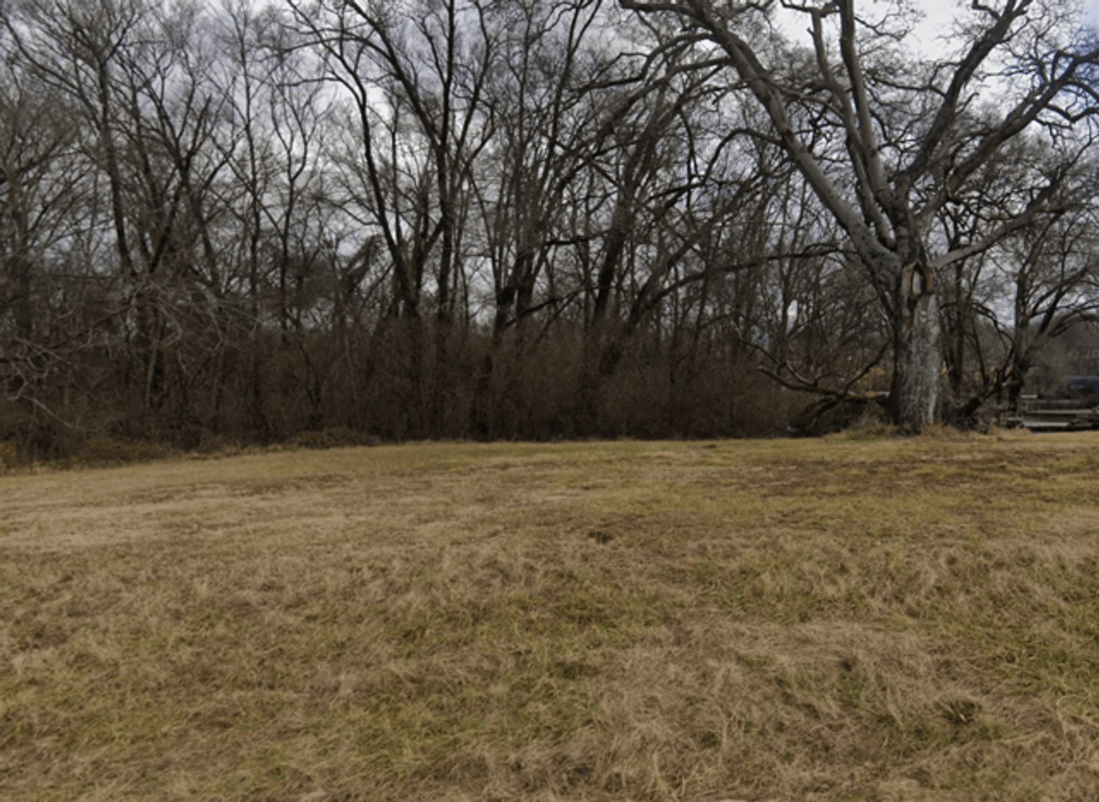 Image for Terry Estate Land Auction