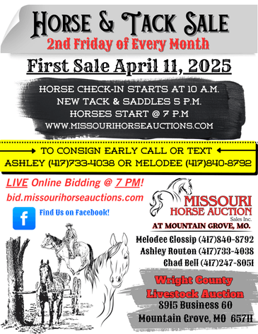 Image for Missouri Horse Auction AT MOUNTAIN GROVE- FRIDAY, APRIL 11TH, 2025