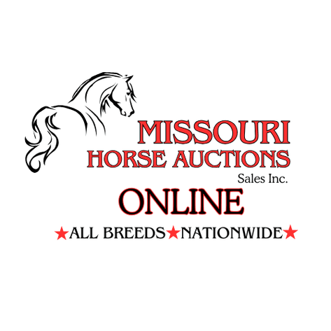 Image for April-10 DAY, ONLINE ONLY Horse Auction