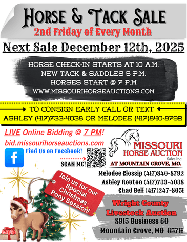 Image for Missouri Horse Auction AT MOUNTAIN GROVE- FRIDAY, DECEMBER 12TH, 2025