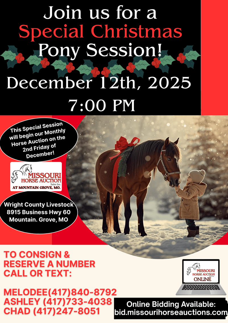 Image for Missouri Horse Auction AT MOUNTAIN GROVE- FRIDAY, DECEMBER 12TH, 2025