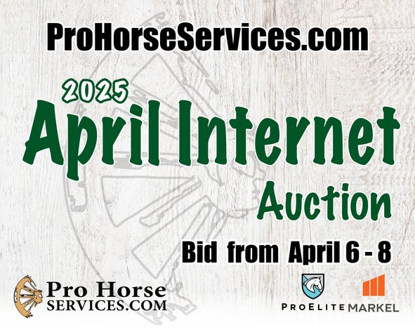 Image for 2025 April INTERNET Auction