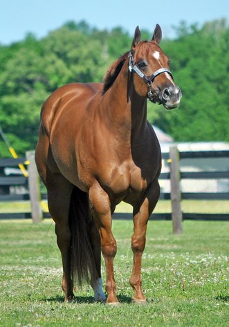 Image for 2025 April INTERNET Auction