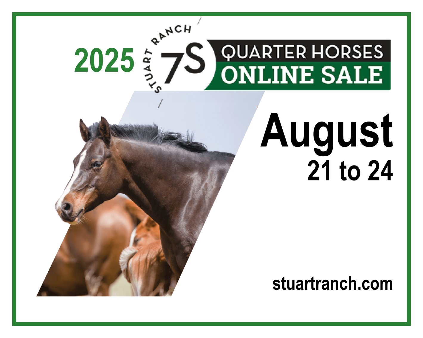 Image for 2025 Stuart Ranch Production Sale