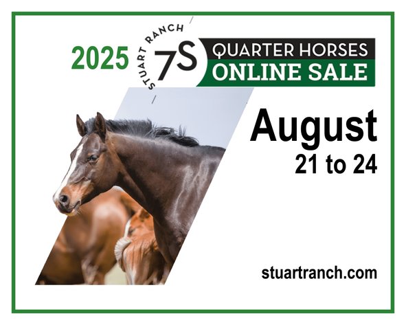 Image for 2025 Stuart Ranch Production Sale