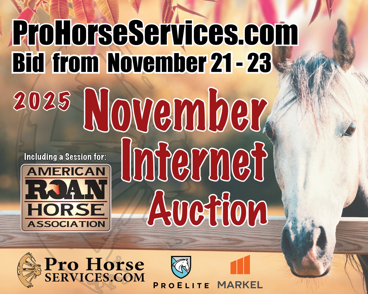 Image for 2025 November INTERNET Auction