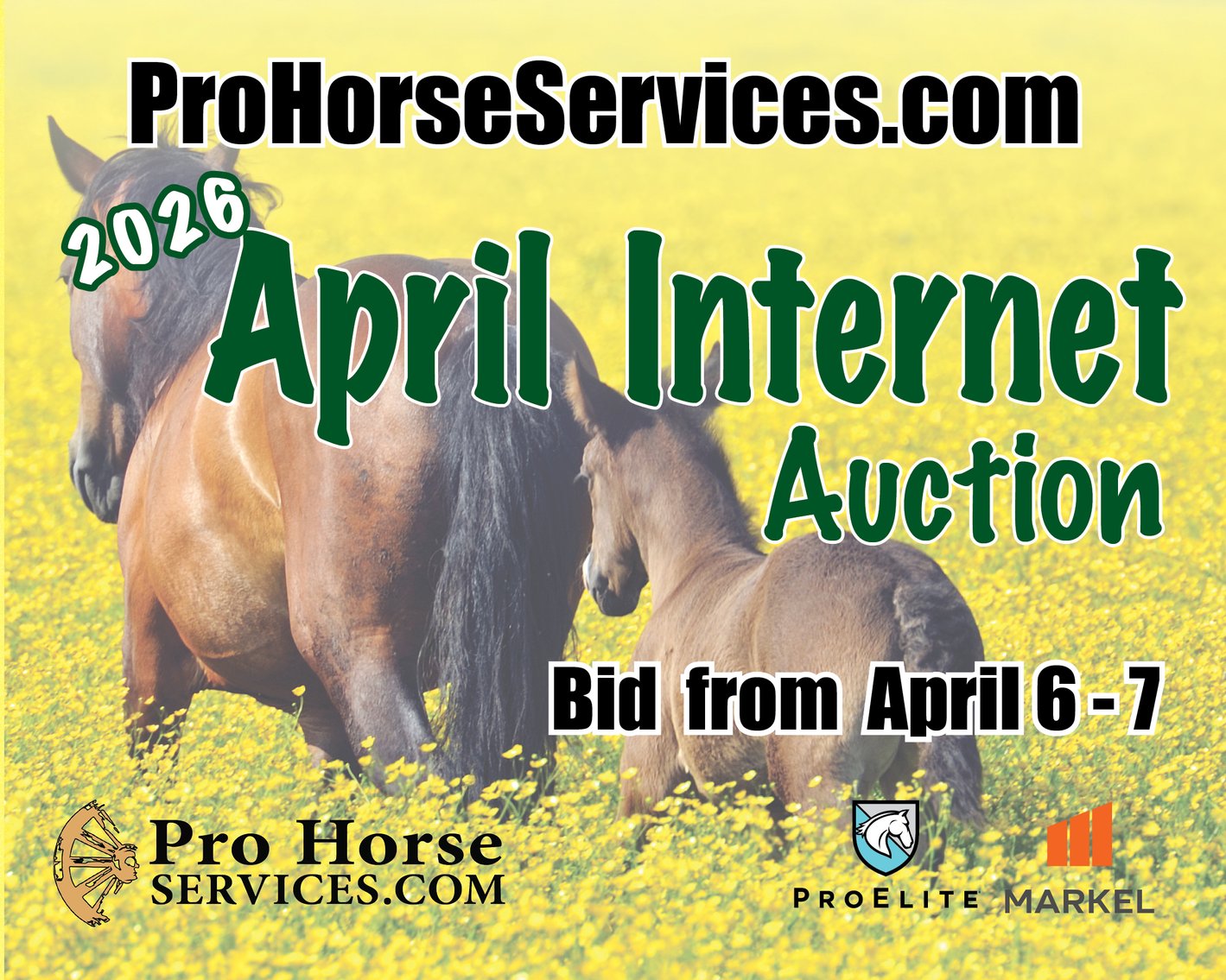 Image for 2026 April Internet Auction